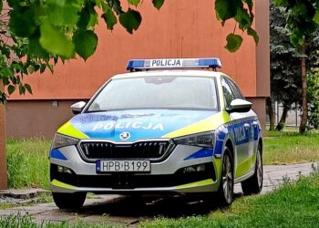 Groźna sytuacja związana z wystrzałem z broni w gminie Domaniów