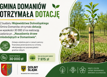 Gmina Domaniów z dotacją w wysokości 30.000zł na nasadzenia drzew miododajnych