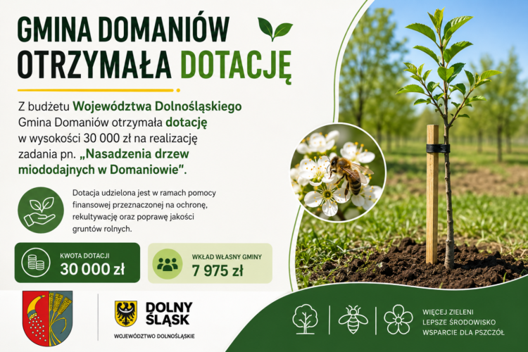 Gmina Domaniów z dotacją w wysokości 30.000zł na nasadzenia drzew miododajnych